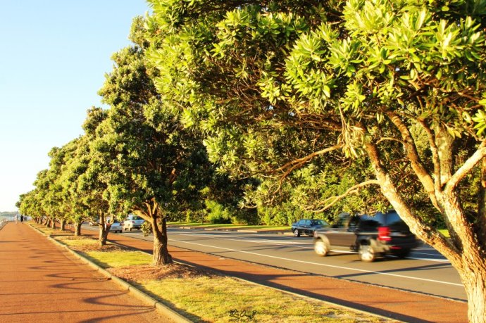 奥克兰天空城,奥克兰天空之塔攻略