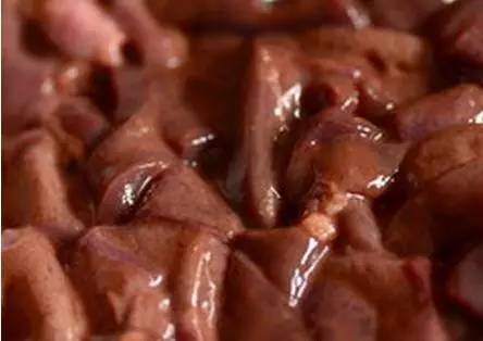 鸡肝鱼饵怎么搭配,万能型鱼饵