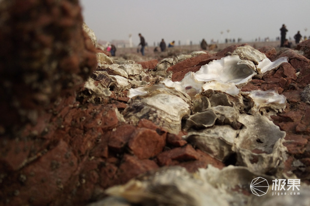 有没有跟iphone一样的手机,和iphone外观相似的安卓机