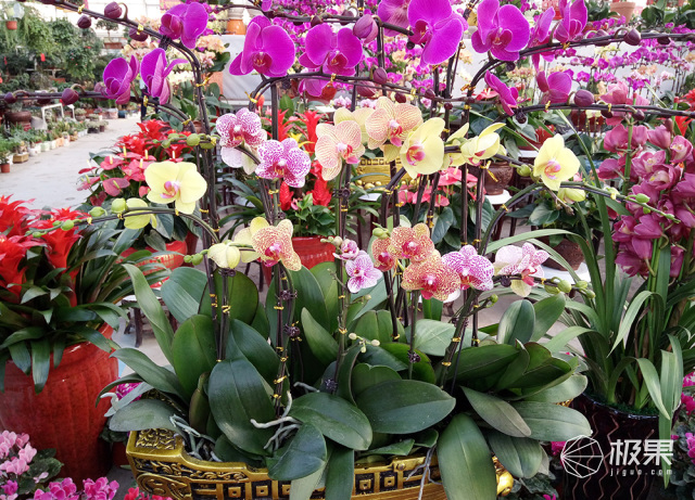 有没有跟iphone一样的手机,和iphone外观相似的安卓机