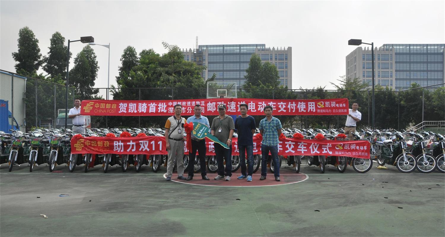 2016年是电动车行业的腊月吗？谁是华南6+5模式中的6？