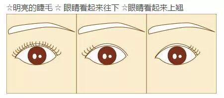 自然妆的眼影正确化妆方法,眼妆教程日常化妆没有多少睫毛