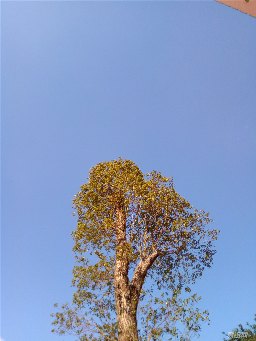 做工品质好手机,做工显高级的手机