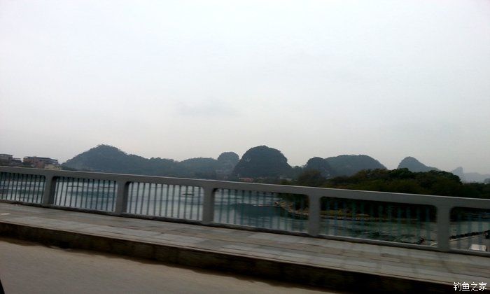 西江夜钓最佳时间,西江夜钓没口