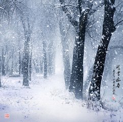 魂恋白茫茫的清新