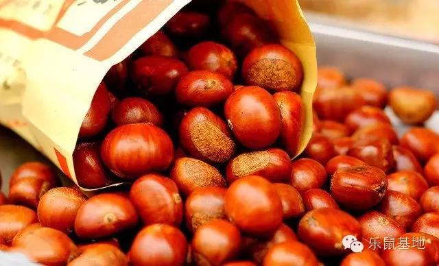 北京的年味渐渐回来了,北漂带回家的年货