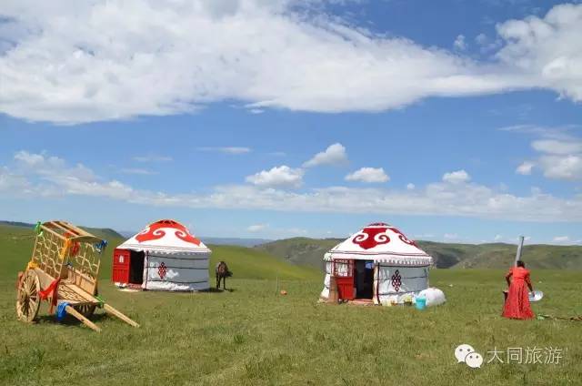 辉腾锡勒黄花沟草原旅游区花海,黄花沟窝阔台草原