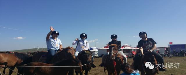 辉腾锡勒黄花沟草原旅游区花海,黄花沟窝阔台草原