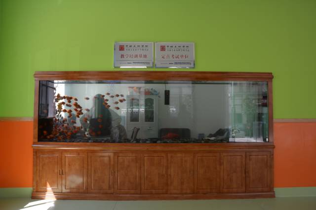 丽江最大幼儿园,丽江幼儿园哪家比较好