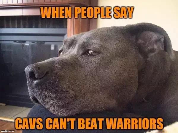 比特犬可爱的一面,比特犬没想象中的可怕