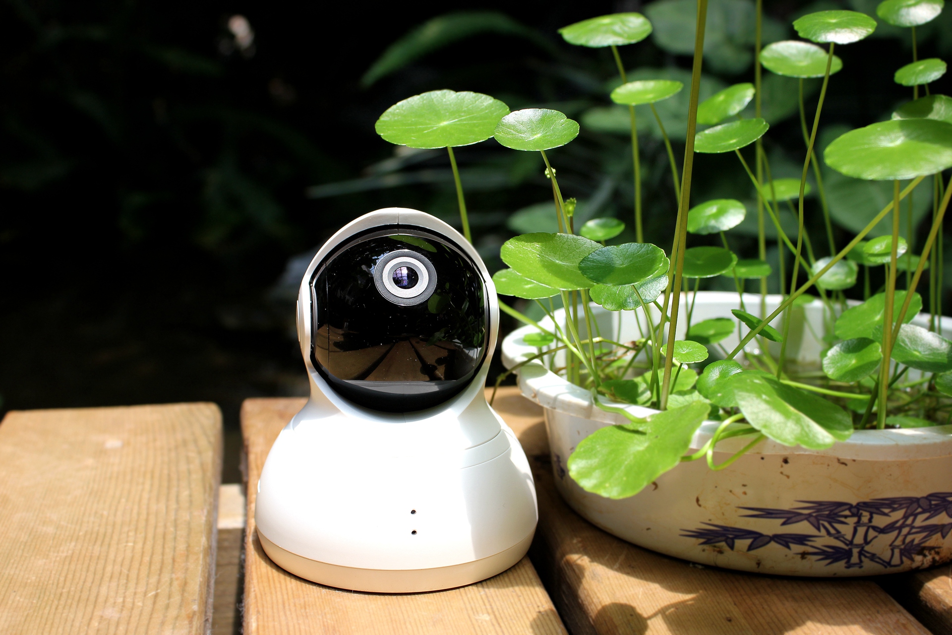 360全景影像卫士,卫士360度全景摄像头