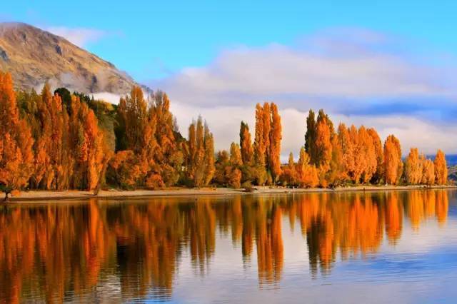 魔戒多少钱一套啊,一套魔戒多少钱