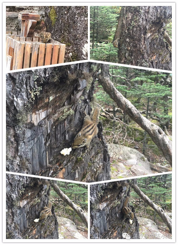 螺髻山风景区攻略,螺髻山哪些景点好