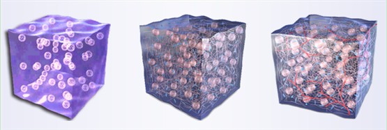 打了爱贝芙能做假体吗,爱贝芙是假体吗