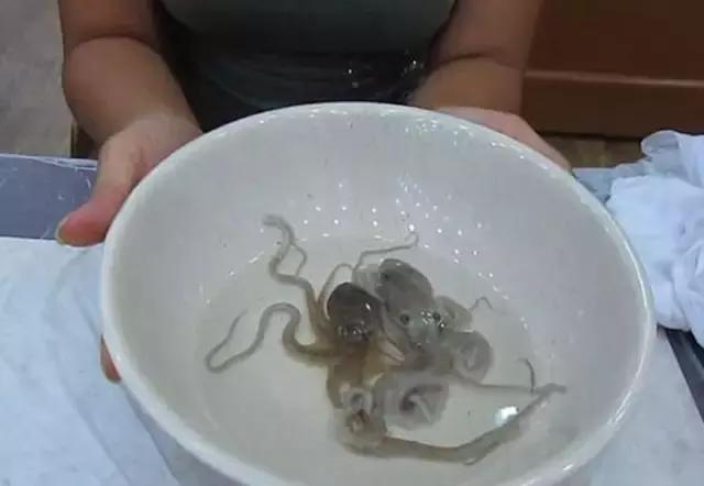 出差要注意的东西,国外黑暗料理