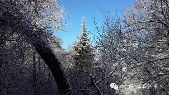 灵石县红崖峡谷攻略,灵石红崖峡谷口