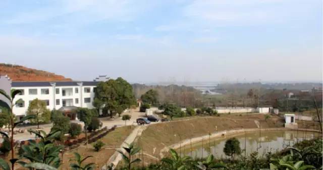 2017年度全国最美茶园,世界上最美茶园是哪里