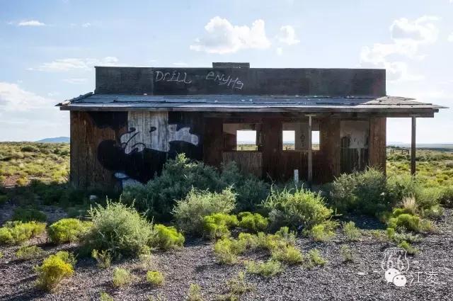 大写的服！这位四川女博士豁出去了，在美国一路“撒野”！