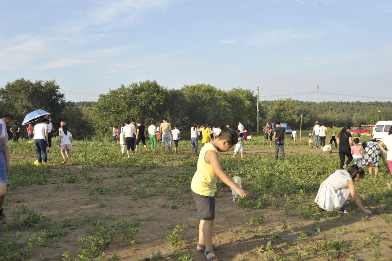 “8·20田园乐山狂欢夜”圆满落幕！看现场嗨成什么样！