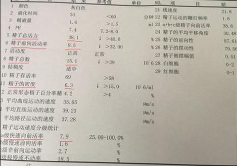 备孕一年半不怀孕男方精子质量差,有图有真相还要调查核实吗
