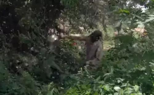 出差要注意的东西,国外黑暗料理