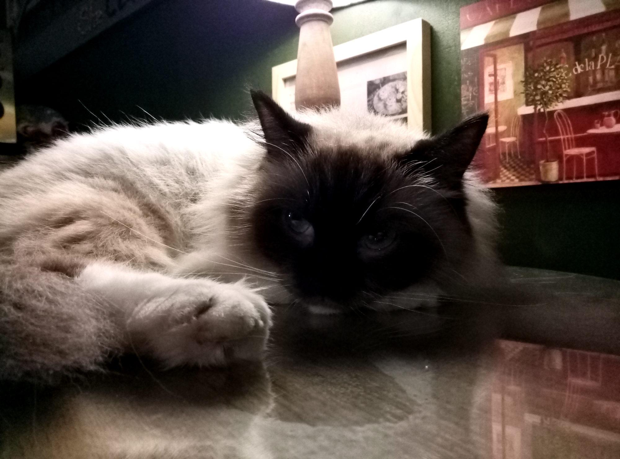 魅蓝e体验,魅蓝e怎么样呢