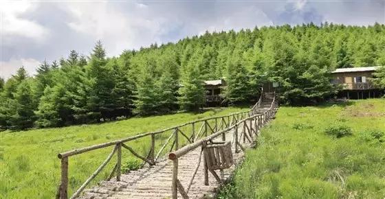 灵石县红崖峡谷攻略,灵石红崖峡谷口