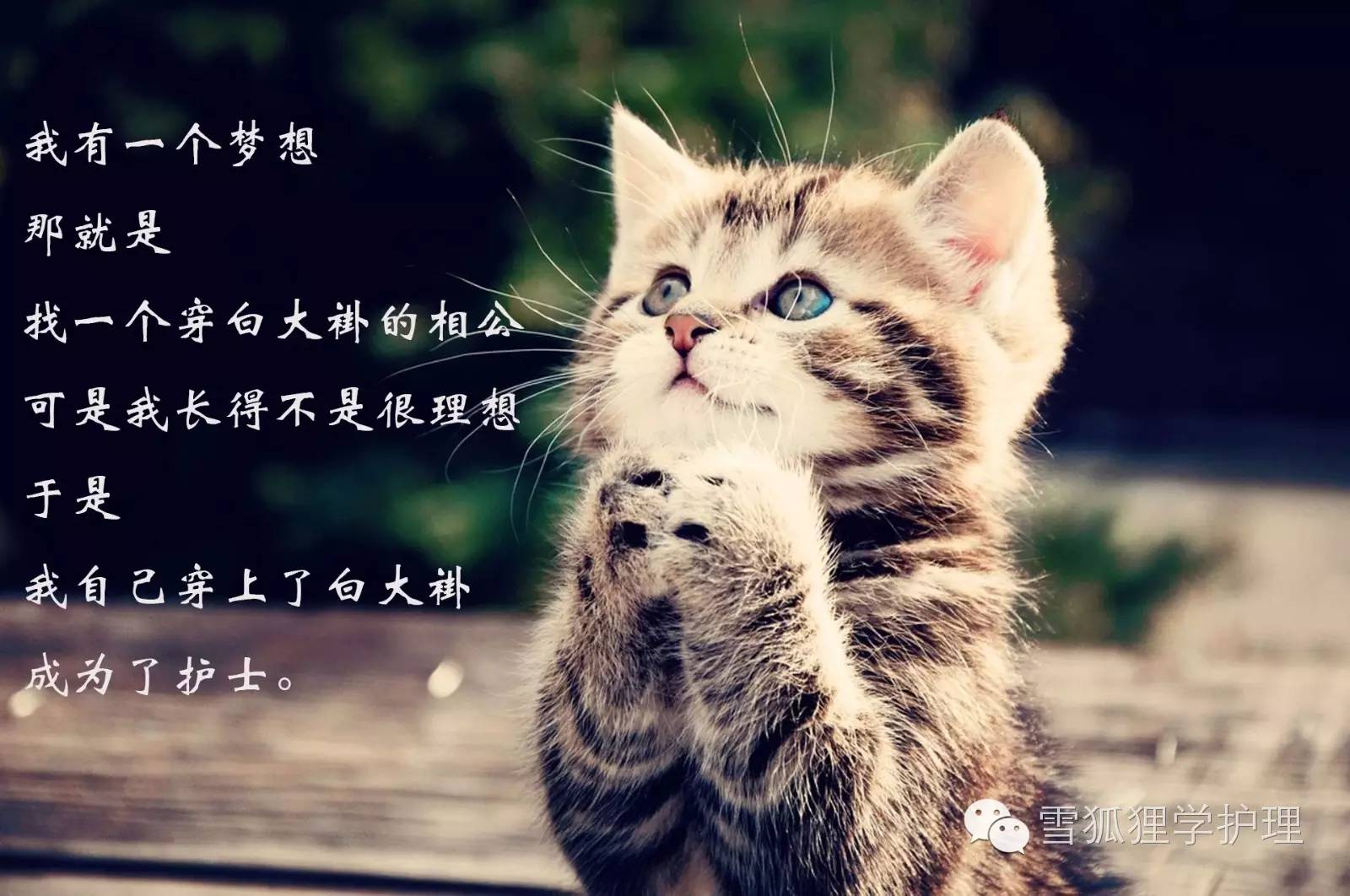 当了护士才知道这个工作很高级,当了医护才知道生命的脆弱