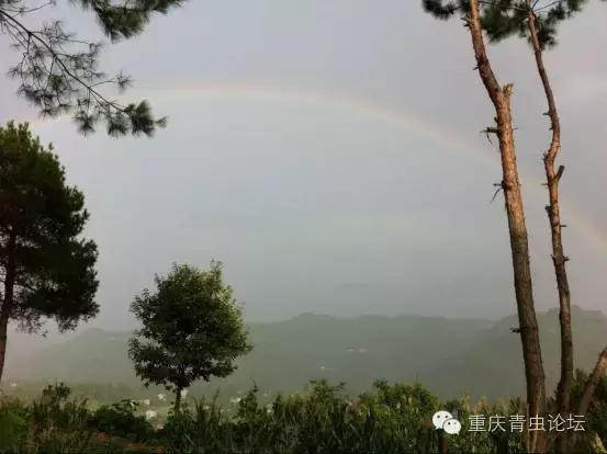 为了大山里的孩子上学,为了山里的孩子读书