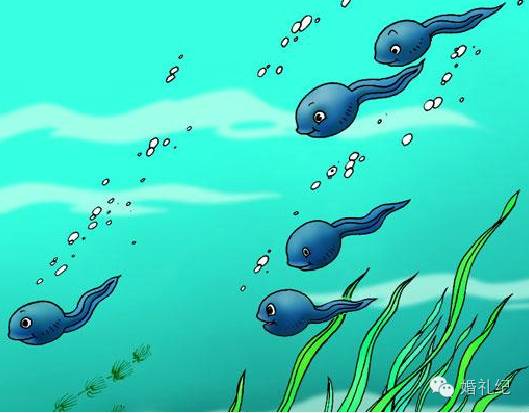 领证后发现婚检有问题,领证时婚检没问题是不是就能怀孕