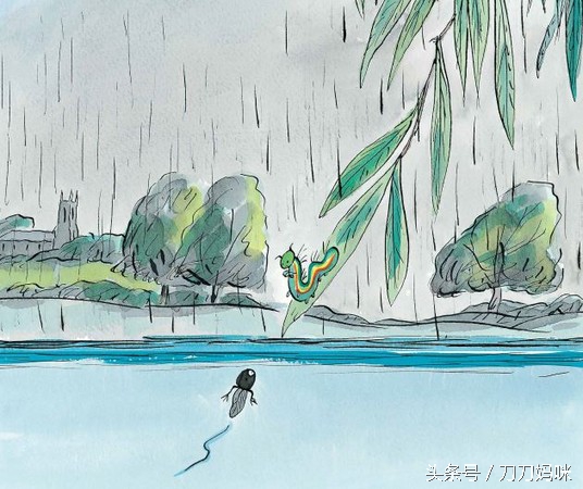 虐心绘本：当蝌蚪爱上毛毛虫，看完人生会有所不同