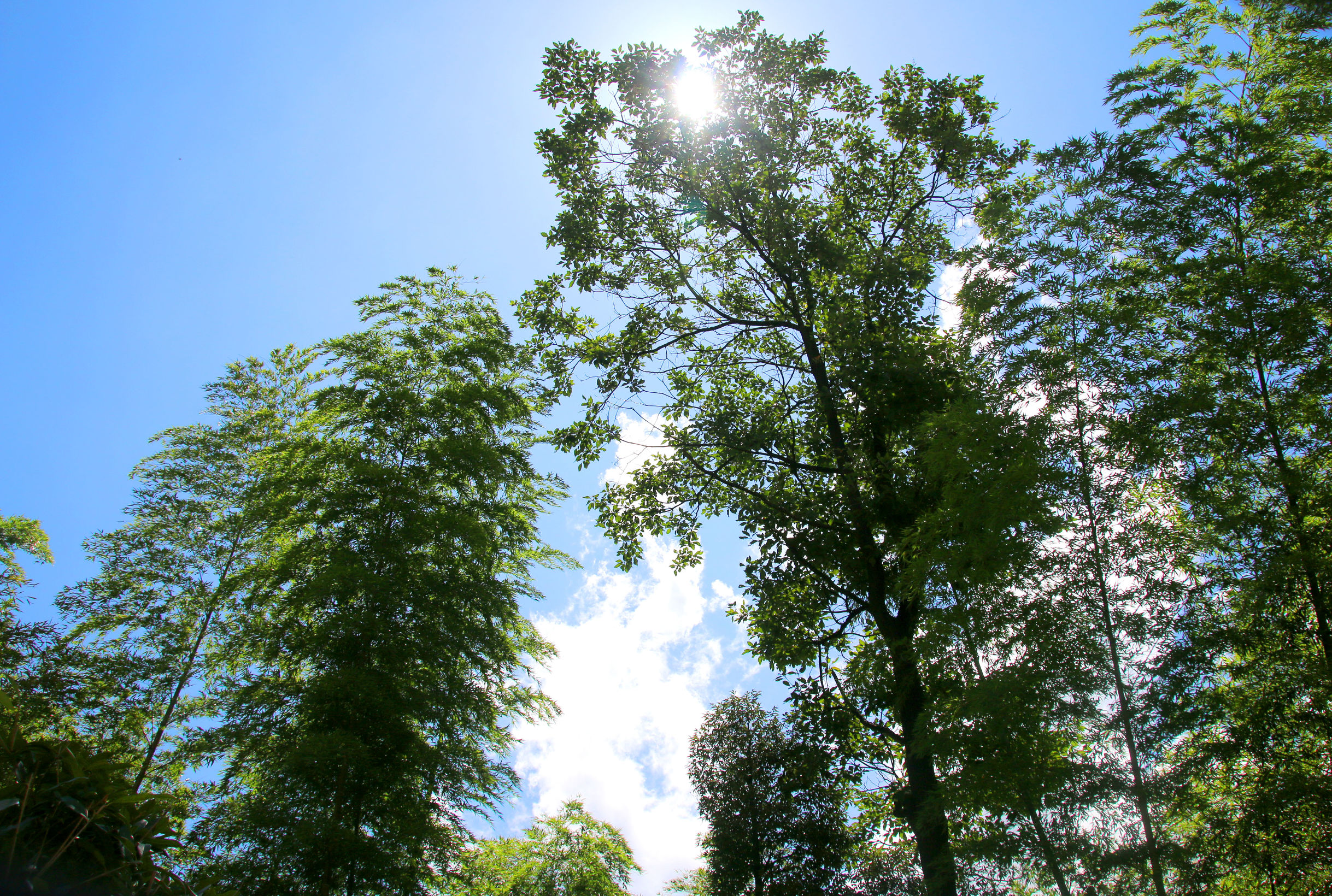 天岛湖教你如何实现“人生小目标”