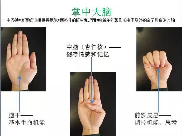 儿童教育专家顾若银老师：正面管教提前学，熊孩子其实挺可爱