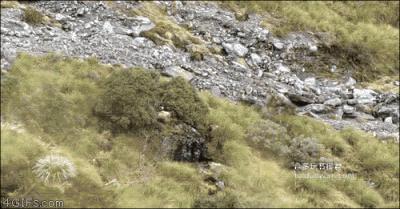 推荐买的渔网袜,渔网袜质量好的