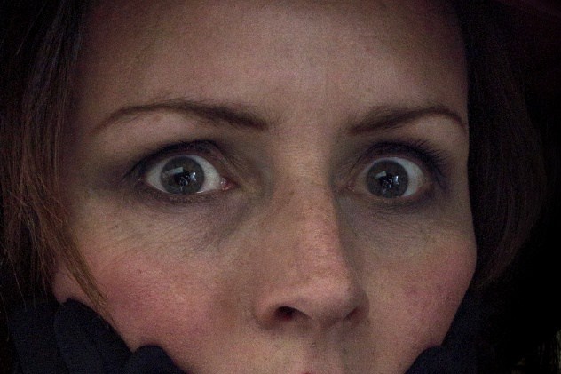 英格兰犬的故事,英格兰故事