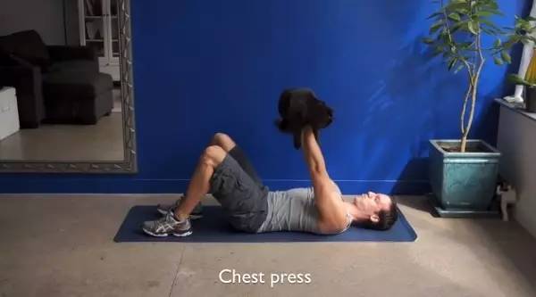 怎么防止猫咬细的电线,怎样从猫上接出网线