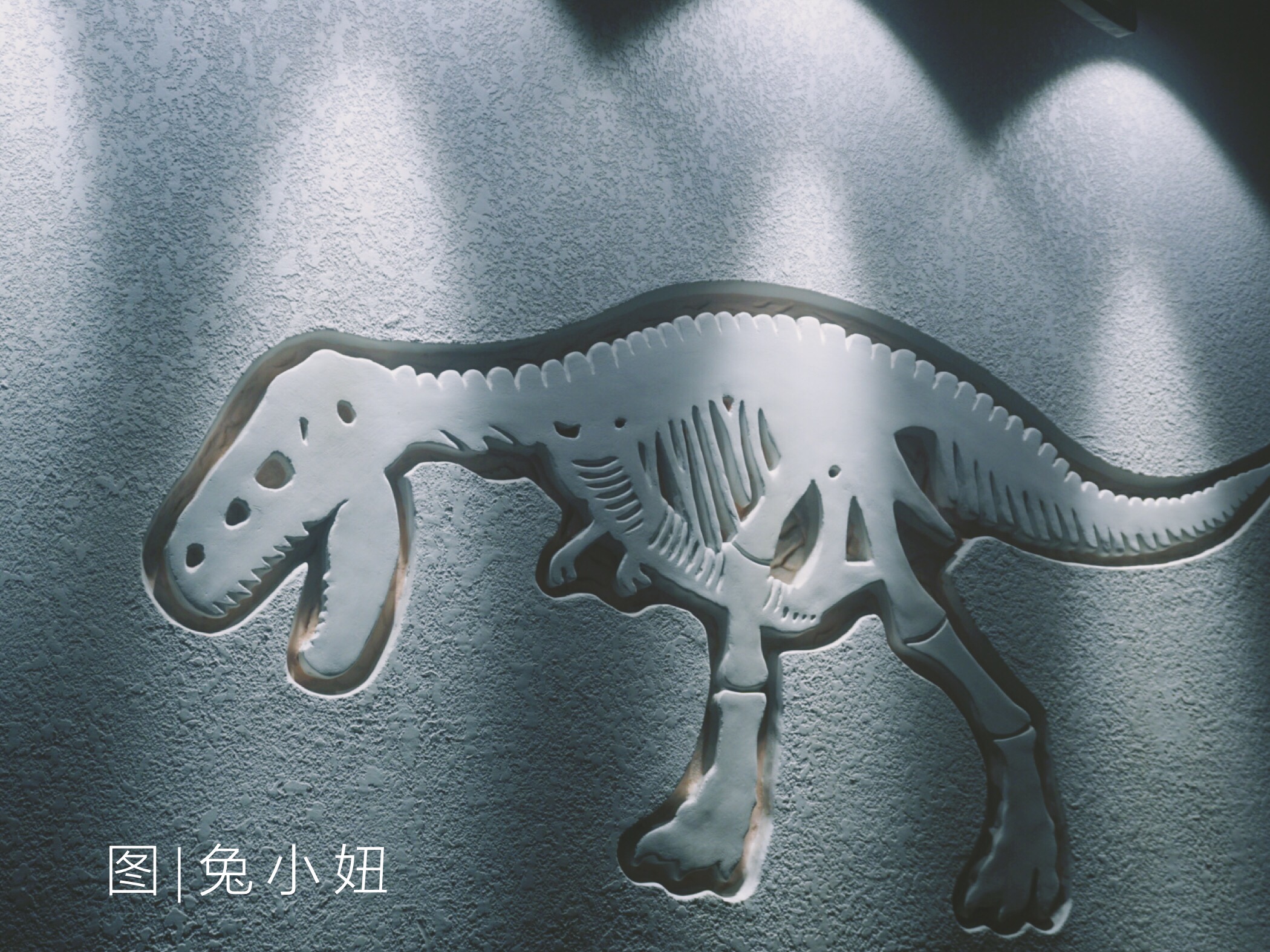 盐焗都能焗些什么菜,盐焗可以焗哪些美食