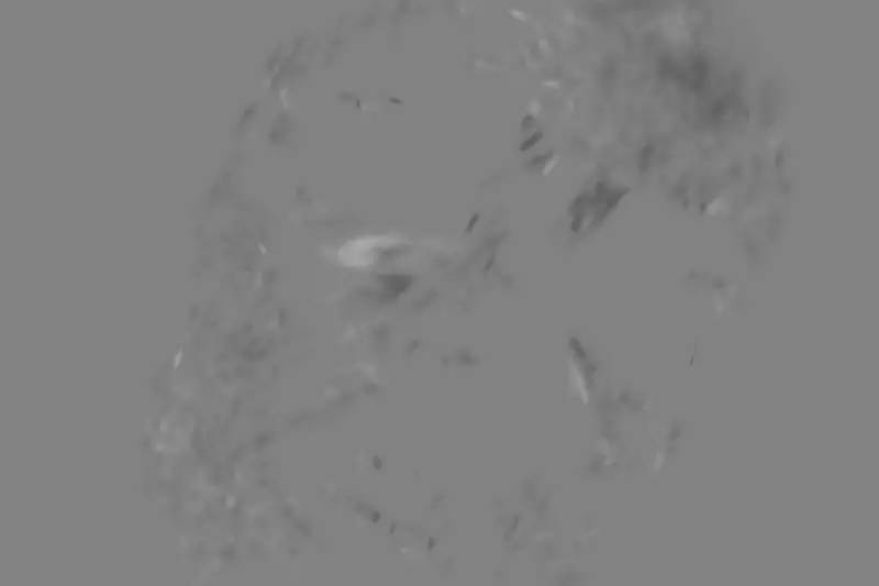 工作修图师,修图师如何给人物磨皮