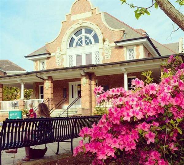 杜兰大学排名榜,杜兰大学在国内认可度