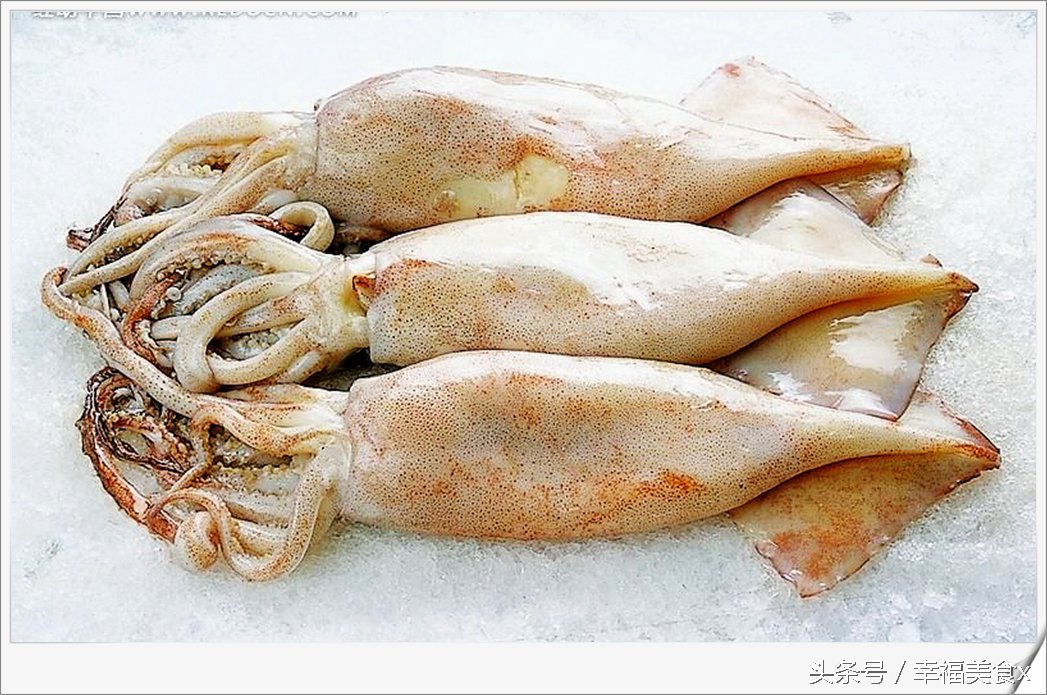 开海后去海边看的第一波海鲜,开海季鲅鱼带鱼