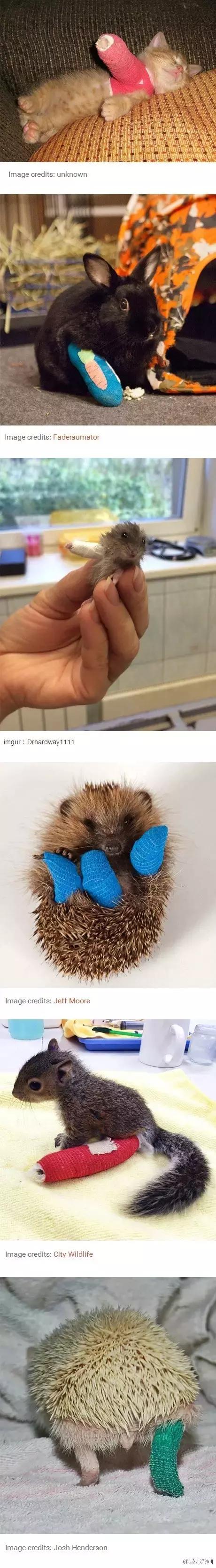 在座的各位你们输了,盘点你们到底输在了哪里