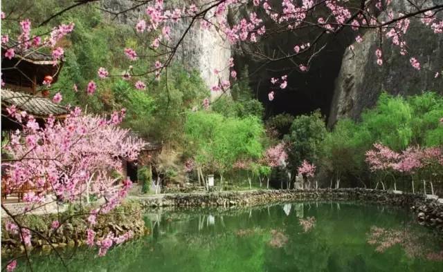 重庆十大旅游景点排名前十有哪些,重庆十大旅游景点最新