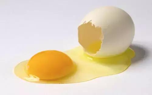 哈士奇训犬小问题,哈士奇错误训练