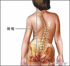 脊柱侧弯驼背怎么矫正,脊柱侧弯驼背怎么恢复