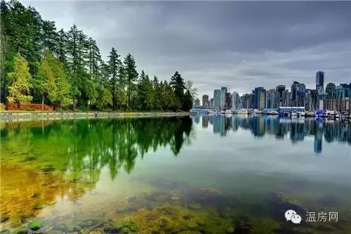 温哥华劳斯莱斯,温哥华买劳斯莱斯视频