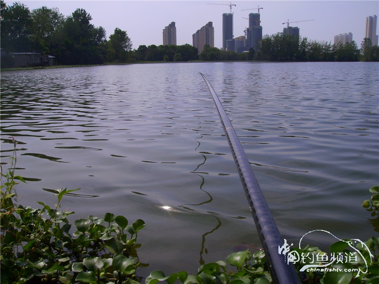 民间特色钓法,径河野钓地点