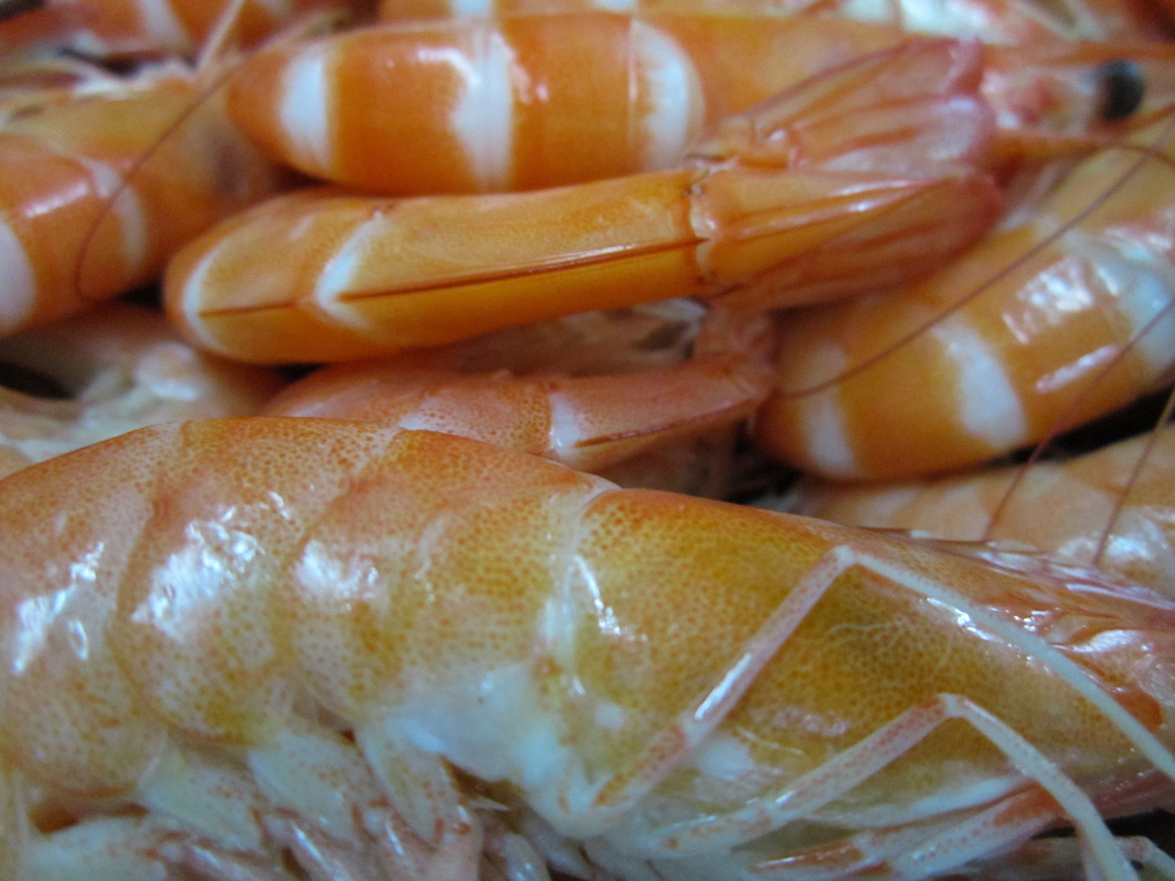 三亚跟团游5天4晚1000,三亚5天4晚跟团游攻略