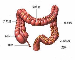 胆囊切除手术后发现结肠癌,胆囊切除后发现食管癌