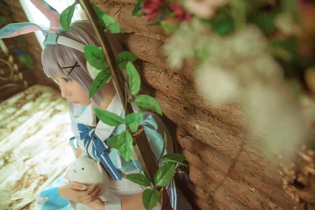 香风智乃兔子,香风智乃cos如何穿