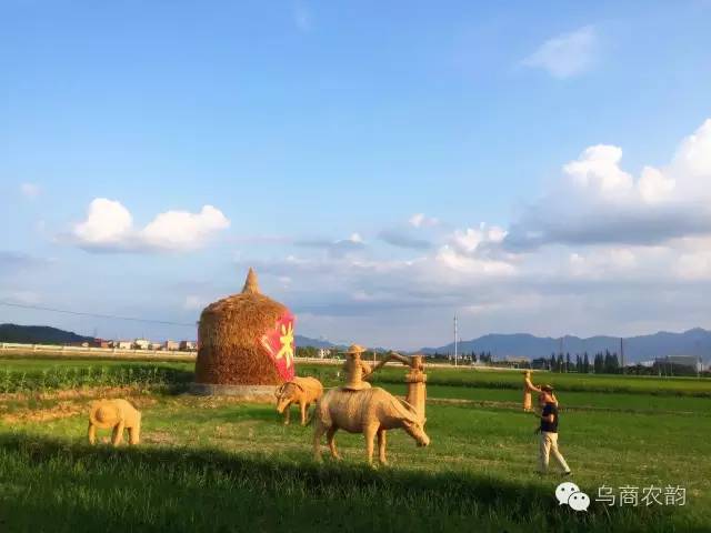华溪村为啥一夜就火了,华溪村为什么突然火了